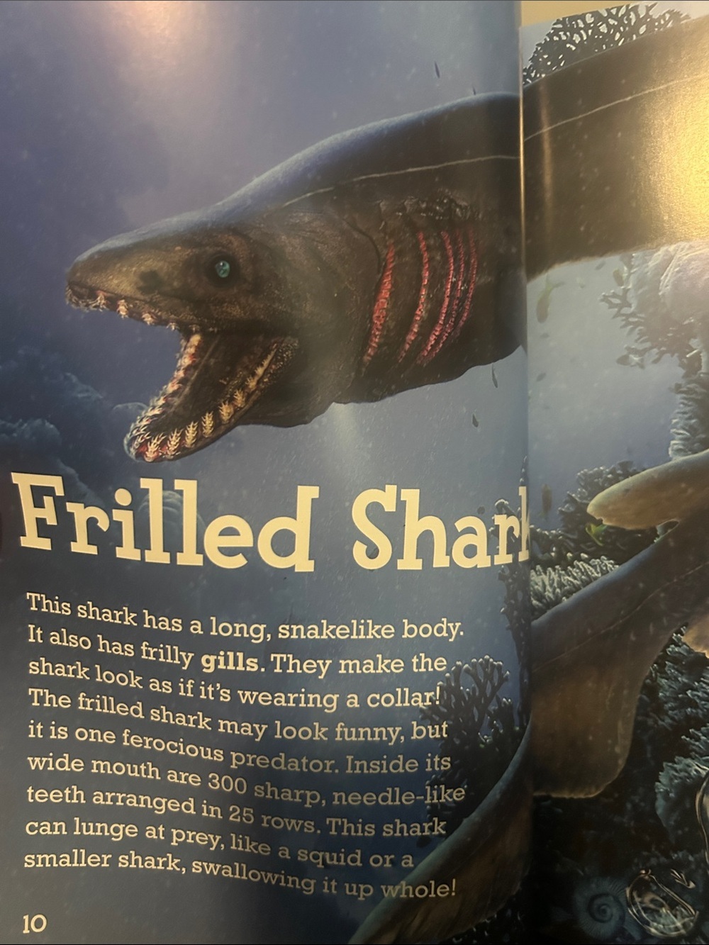 Scholastic Sharks Books Set - Picture 4 of 5